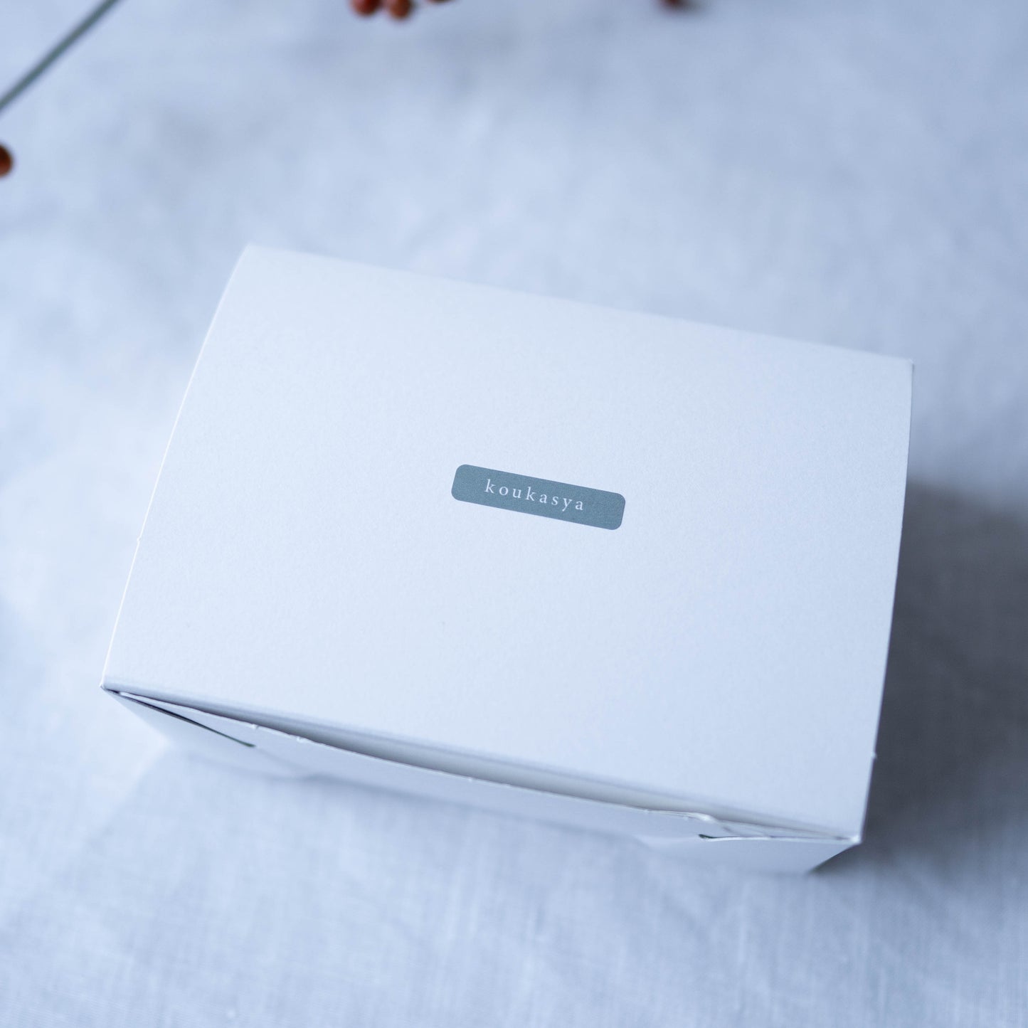 【4月24日(金)発送分】塩サブレアソート